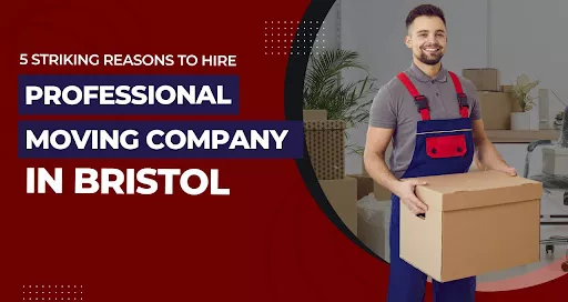 Professional Mover Holding a Box – Reasons to Hire a Moving Company in Bristol